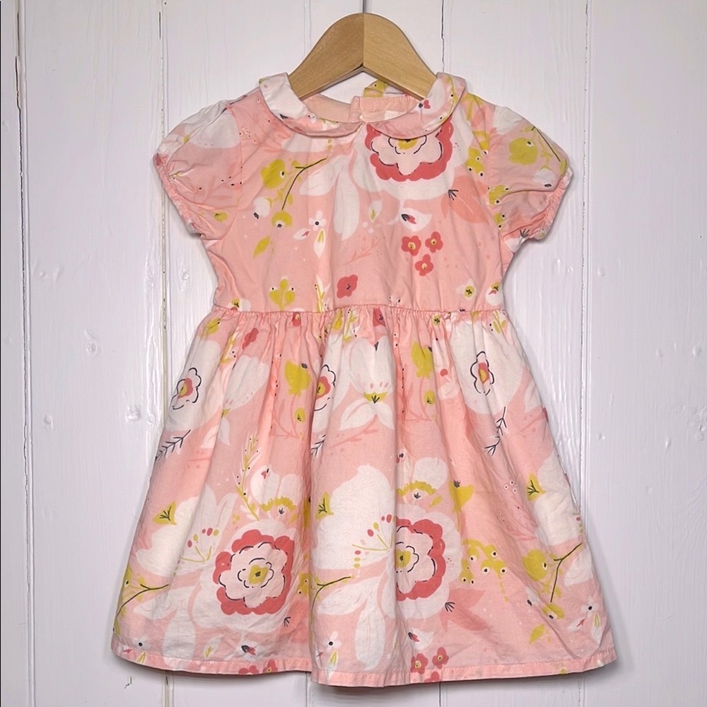 LITTLE PLANET VGUC 100% Organic Cotton Peter Pan Collar Lined Floral Dress